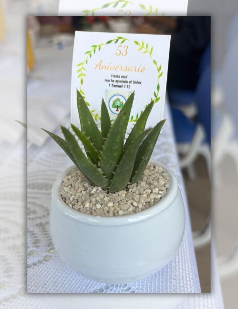 Lee más sobre el artículo 53 años caminando juntos con fe